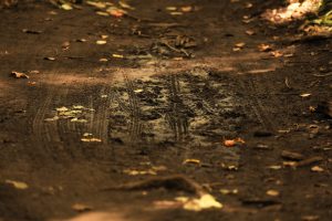 Overcoming Mud on Mountain Bike Trails